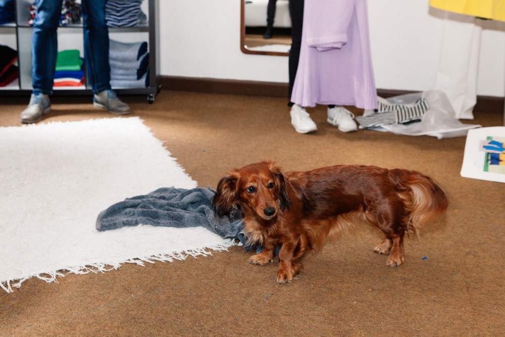 180315 Strickworkshop 157